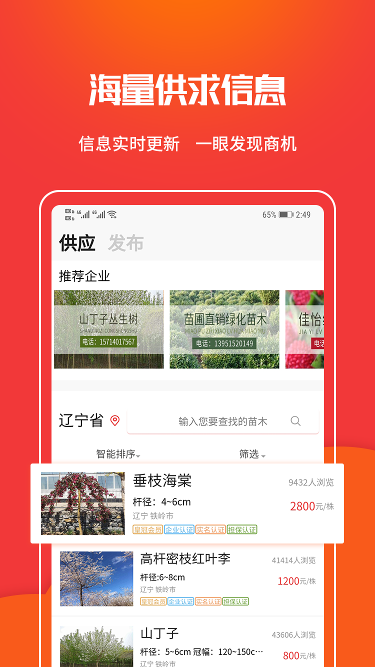 苗木网截图2