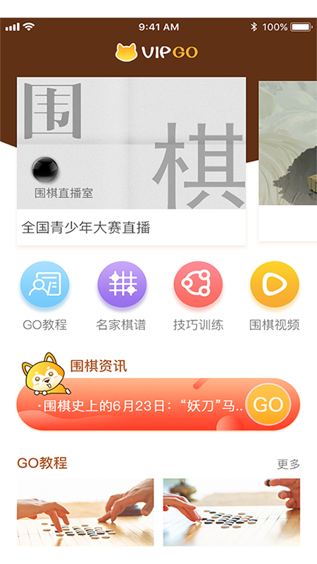 顽皮狗VipGo截图1