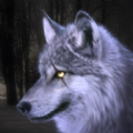 狼模拟器修改版