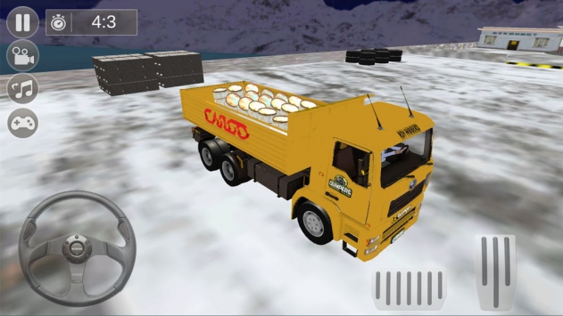卡车野外运输模拟截图2