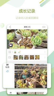 绿手指v5.2.5截图3