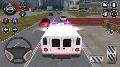 美国警察跑车游戏截图1