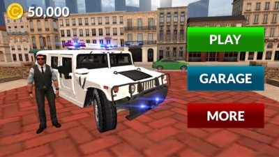 美国警察跑车游戏截图4