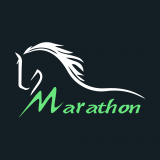 Marathon Run