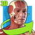 Easy Anatomy 3D