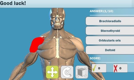 Easy Anatomy 3D截图3