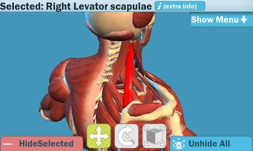 Easy Anatomy 3D截图2