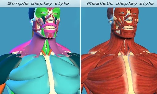 Easy Anatomy 3D截图4