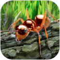 蚂蚁荒野生存模拟游戏