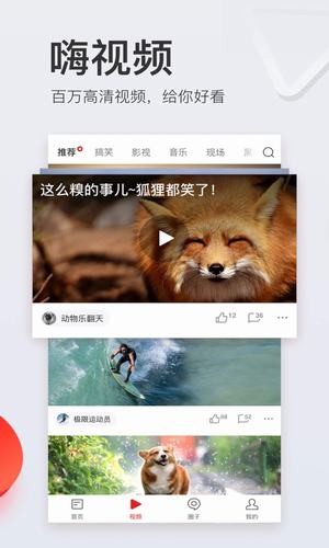 网易新闻专业版截图4