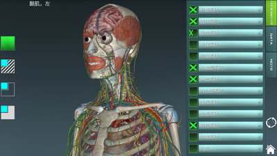 2021人体解剖学图谱截图2