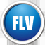 FLV视频转换器