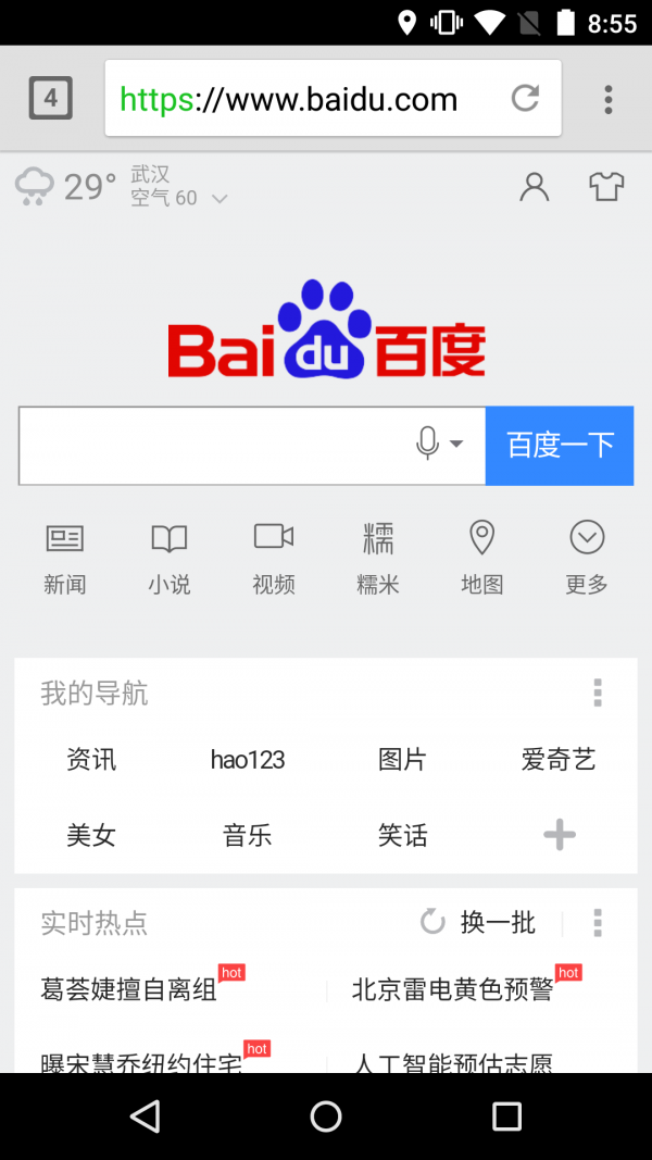 网极浏览器截图5