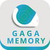 GAGA Memory管理手册