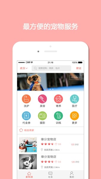 爱狗团截图4