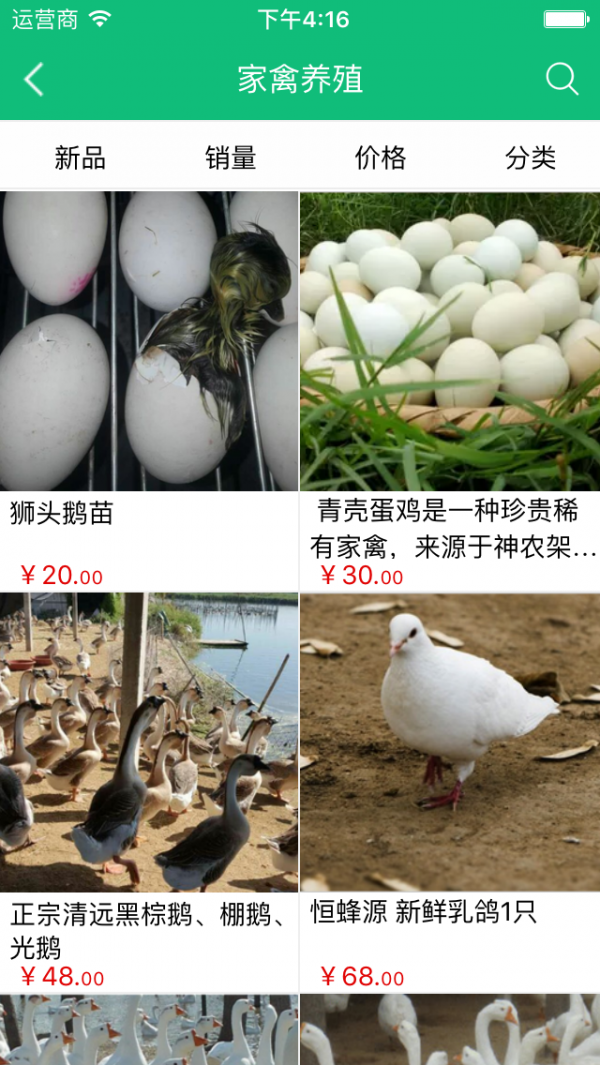 中国家禽养殖网截图3