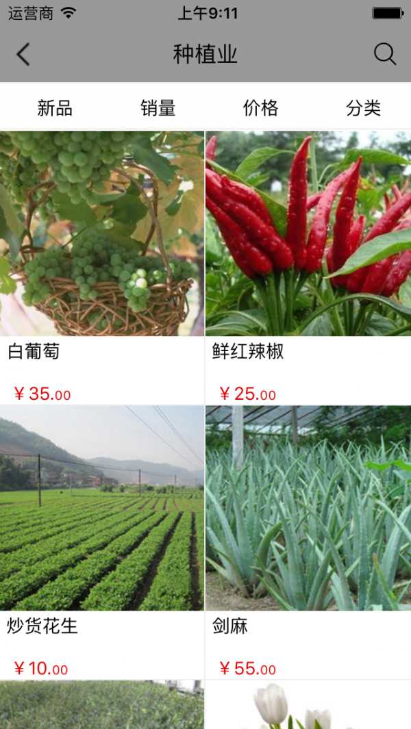 广西农业平台截图3