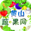 黃山蔬果網(wǎng)