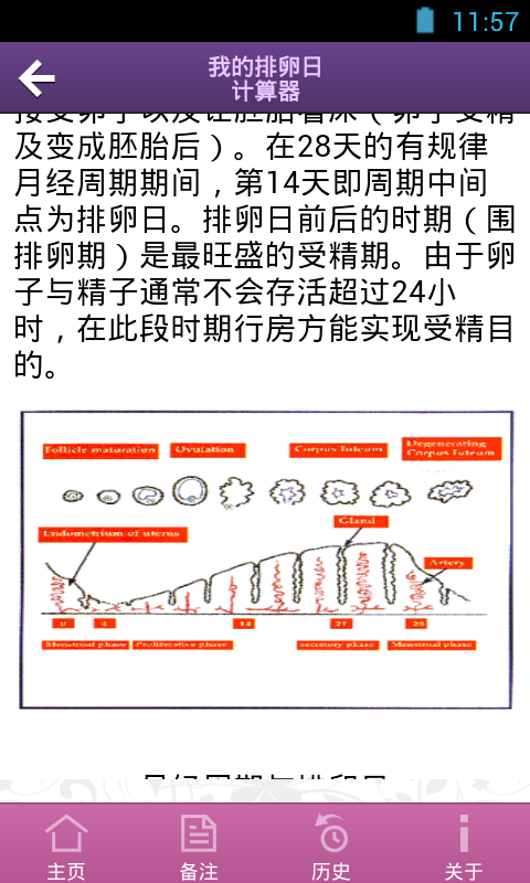 排卵日计算器截图4