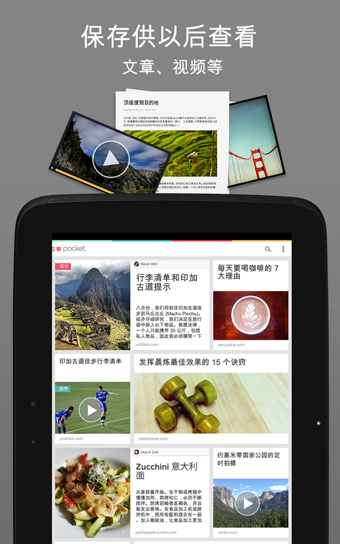 Pocket截图4