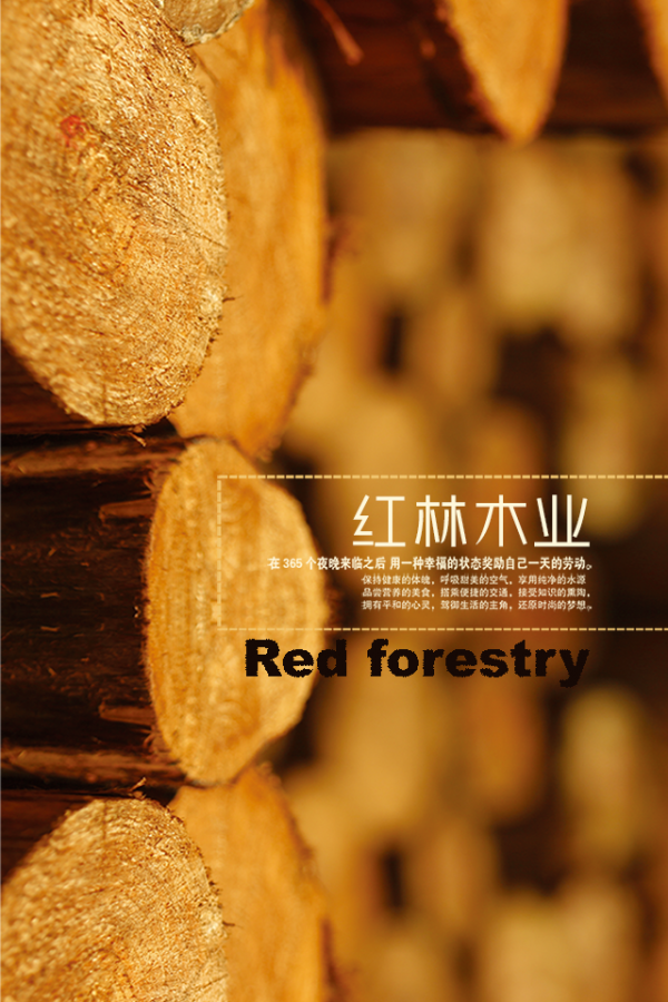 红林木业截图1