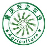 重庆农业平台