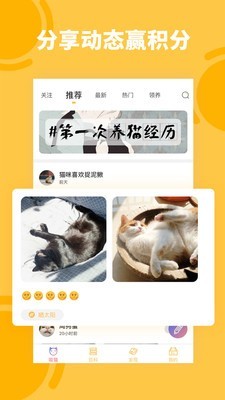 萌翻养猫截图2