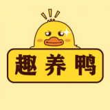 趣養(yǎng)鴨