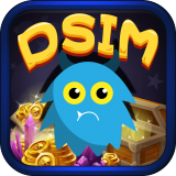 dsim