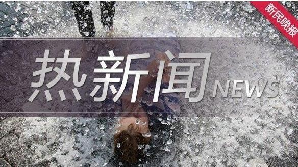 上海教育电视台公共安全教育特别节目直播视频地址 上海教育安全教育回放入口[多图]图片1