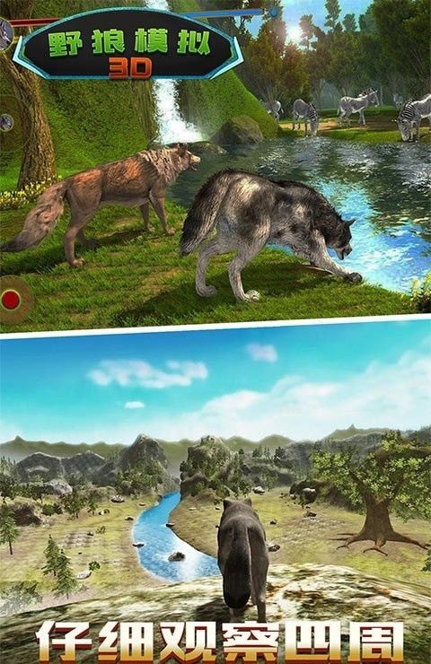 野狼模拟3D截图2