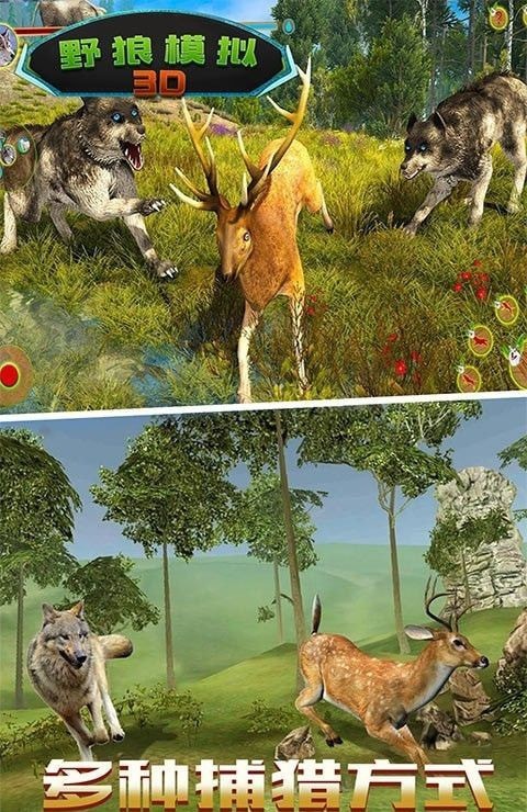 野狼模拟3D截图1