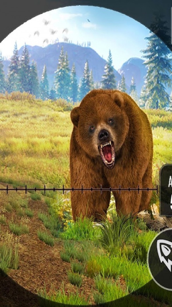 野熊动物狩猎截图4