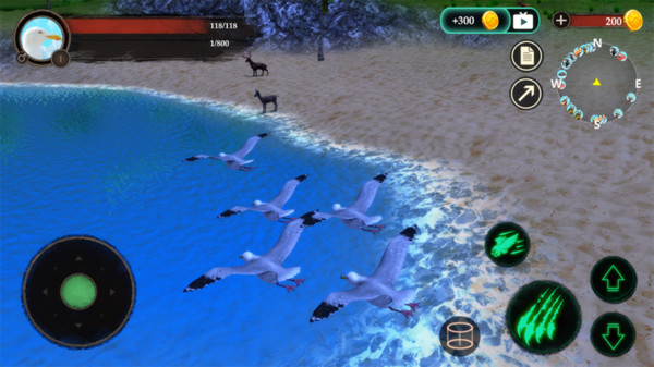 海鸥模拟器游戏截图1