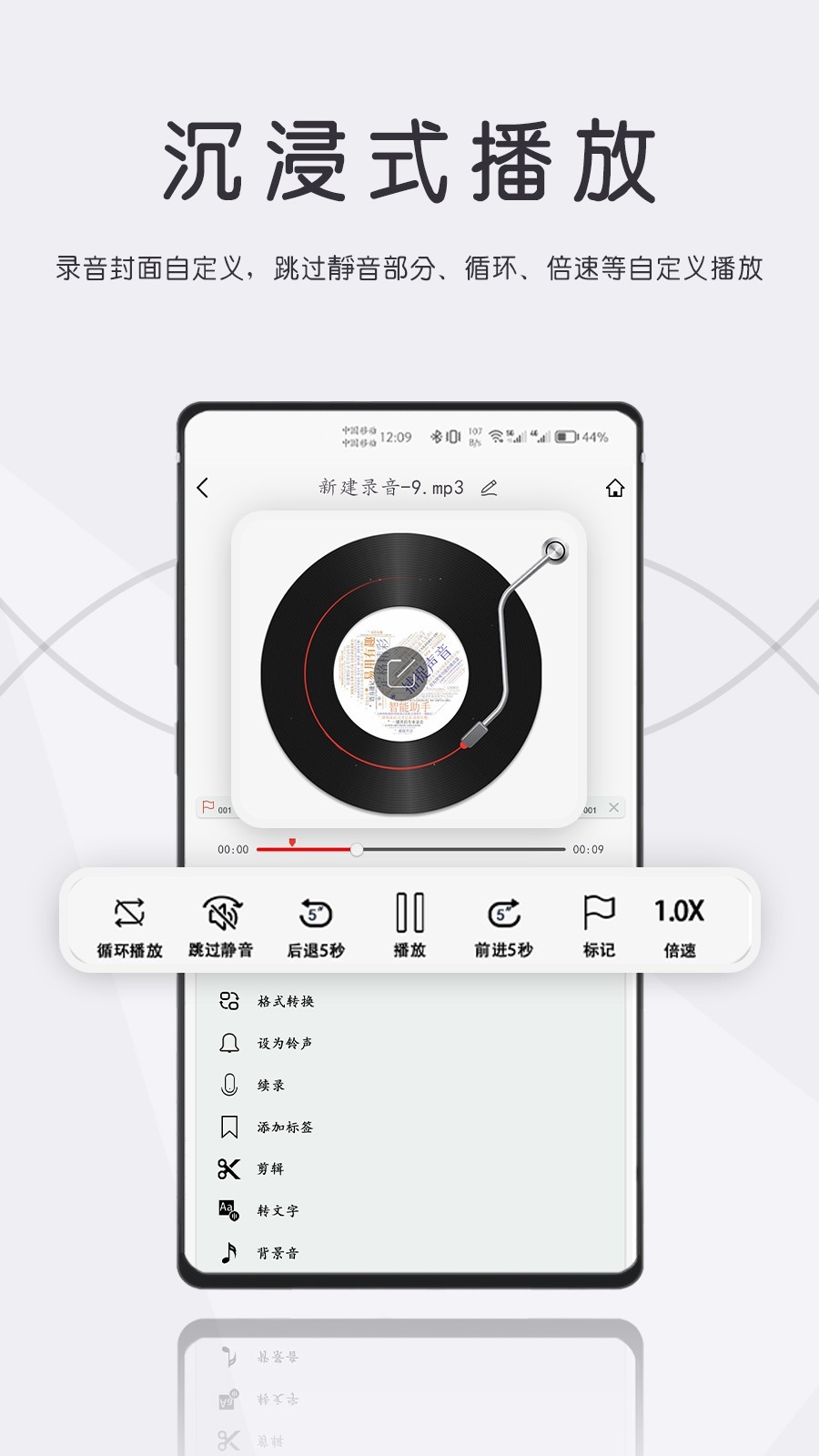 大录音师截图2