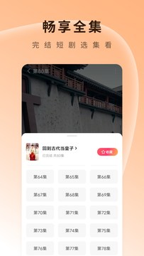 番茄免费短剧截图5