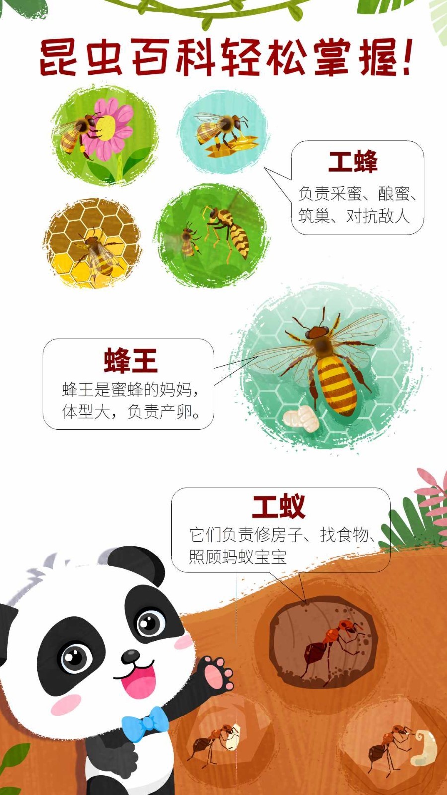 奇妙昆虫世界截图4