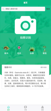 夏日植物截图1