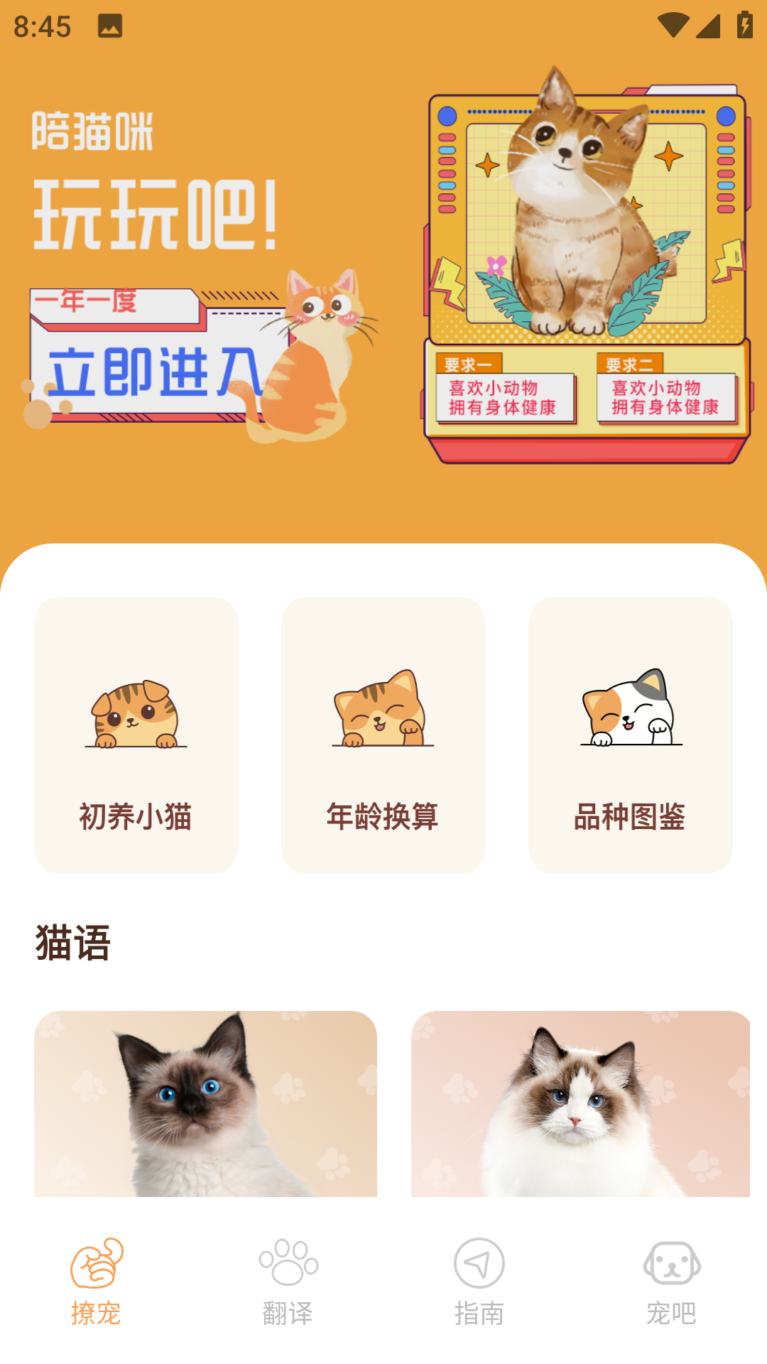 Peppycat猫语翻译器截图2