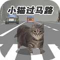 小猫爱冒险